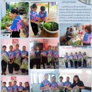 กิจกรรมการปลูกผักไฮโดรโปนิกส์  โรงเรียนวัดกระโจมทอง